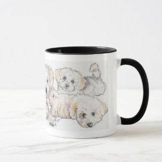 Bichon Frise Puppies Tasse