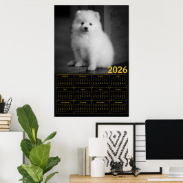 Bichon Frise Puppy 2026 Calendar Poster