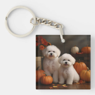 Bichon Frise Puppy Automne Citrouille délice