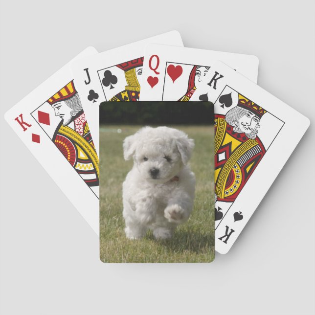 Bichon Frise Puppy Dog Spielkarten (Rückseite)