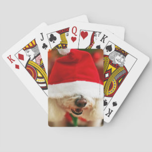 Bichon Frise puppy wearing Santa costume Spielkarten