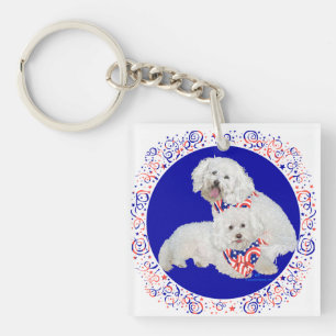 Bichon Frise Rouge Blanc Bleu