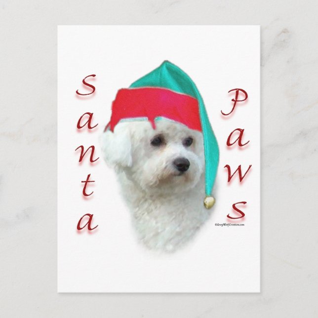 Bichon Frise Santa Paws Feiertagspostkarte (Vorderseite)