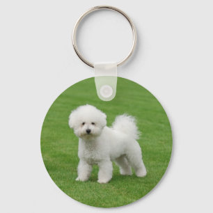 Bichon Frise Schlüsselanhänger