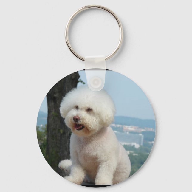 Bichon Frise Schlüsselanhänger (Vorderseite)