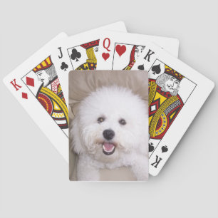 Bichon Frise Smiling Dog Playing Cards Spielkarten