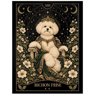 Bichon Frise, Sternen-Tarot-Kunst Postkarte