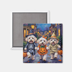 Bichon Frise Süßigkeiten-oder-Saures-Halloween-Kos Magnet