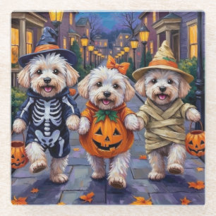 Bichon Frise Trick-oder-Treating Halloween-Kostüme Glasuntersetzer