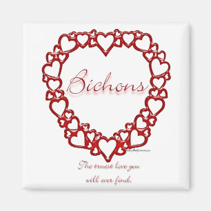 Bichon Frise True Love Magnet