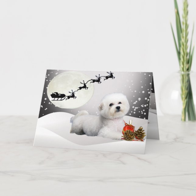 Bichon Frise une carte de voeux de Joyeux Noël (Devant)