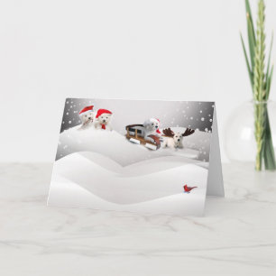 Bichon Frise une carte de voeux de Joyeux Noël