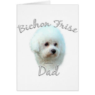 Bichon Frise Vater 2