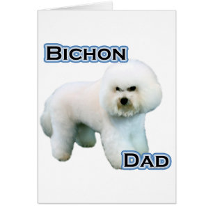 Bichon Frise Vater 4