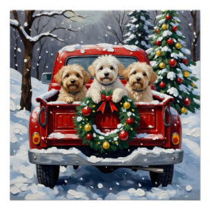 Bichon Frise Weihnachten Roter LKW Urlaub Poster