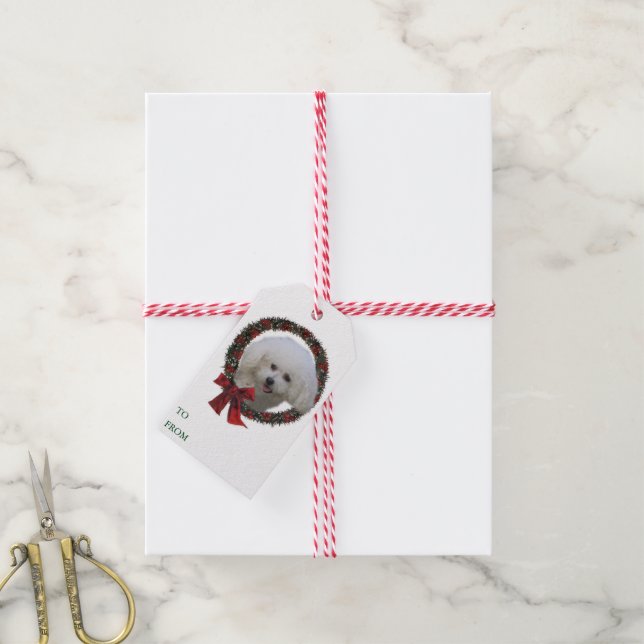 Bichon Frise Weihnachtsgeschenke Tags Geschenkanhänger (Mit Garn)
