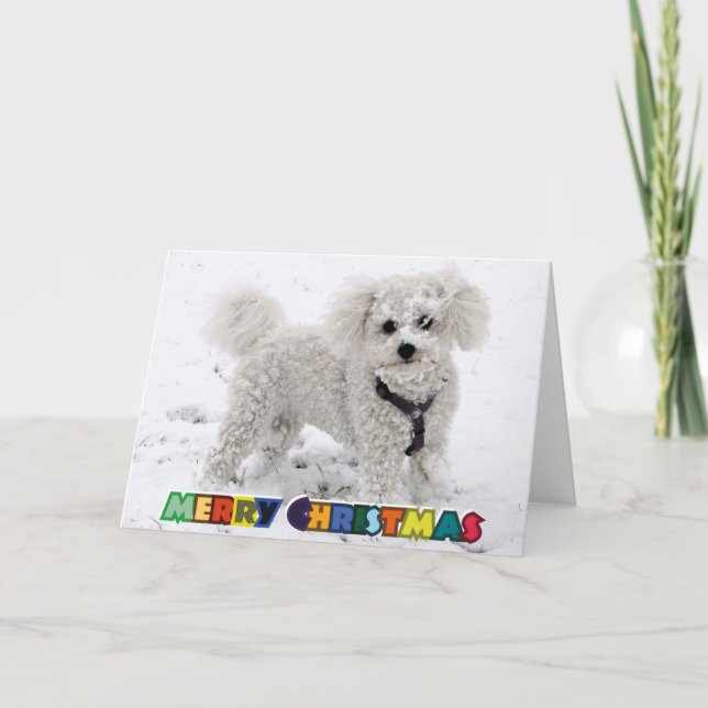 Bichon Frise Weihnachtskarte Feiertagskarte (Vorderseite)