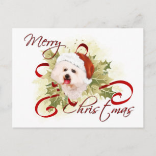 Bichon Frise Weihnachtskarten Feiertagspostkarte