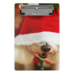 Bichon Frise Welpe, der Sankt-Kostüm trägt Mini Klemmbrett