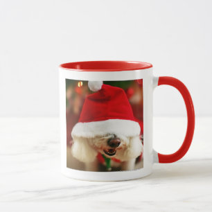 Bichon Frise Welpe, der Sankt-Kostüm trägt Tasse