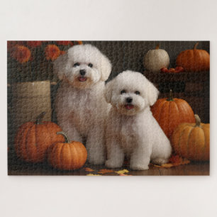 Bichon Frise Welpe Herbstfreude Kürbis 