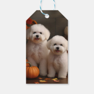 Bichon Frise Welpe Herbstfreude Kürbis Geschenkanhänger