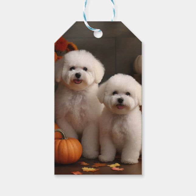 Bichon Frise Welppy Autumn Delight Pumpkin Geschenkanhänger (Vorderseite)