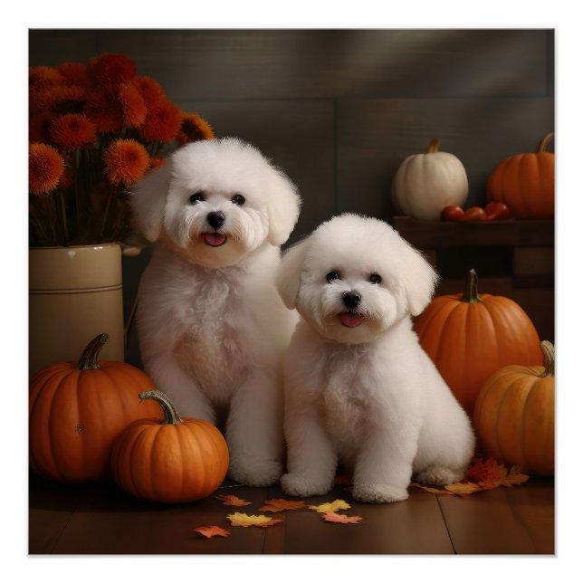 Bichon Frise Welppy Autumn Delight Pumpkin Poster (Vorderseite)