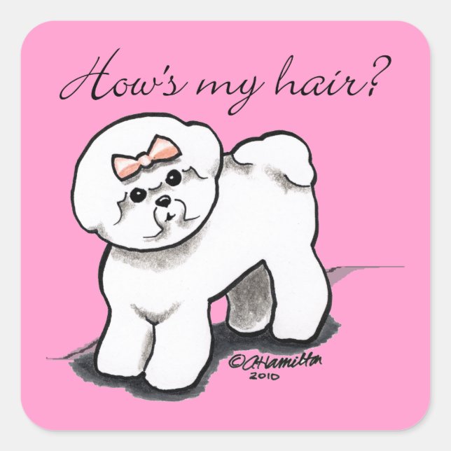 Bichon Frise zeigt mir mein Haar Quadratischer Aufkleber (Vorderseite)