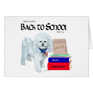 Bichon Frise Zurück zur Schule