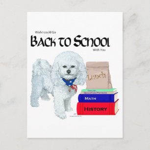 Bichon Frise Zurück zur Schule Postkarte