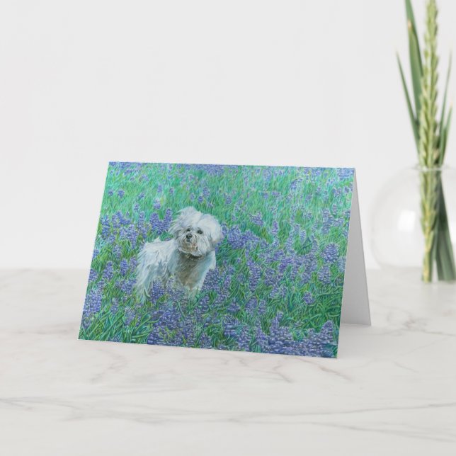 Bichon in Bluebonnets Grußkarte Karte (Vorderseite)