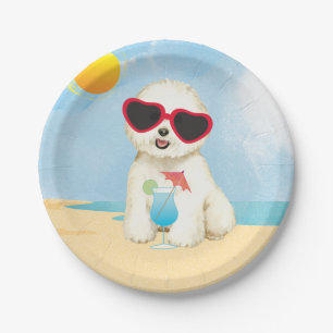 Bichon-Sommerbrand Pappteller