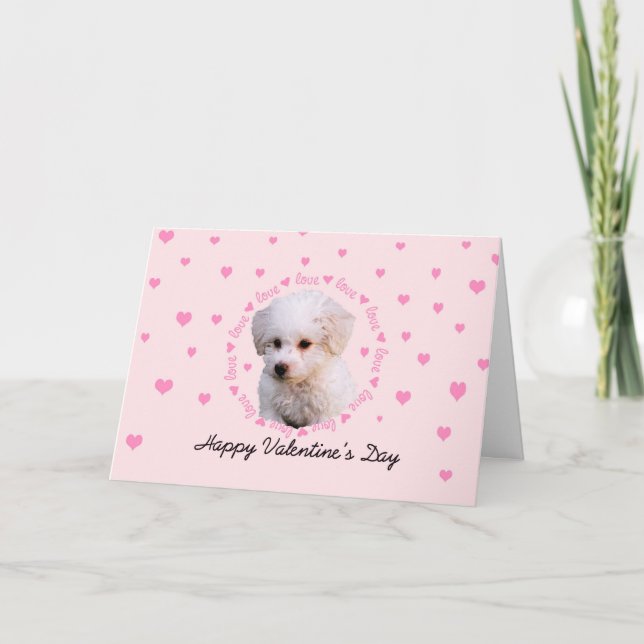 Bichon Valentinstag Feiertagskarte (Vorderseite)