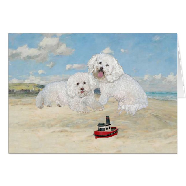 Bichons à la Plage (Devant horizontal)