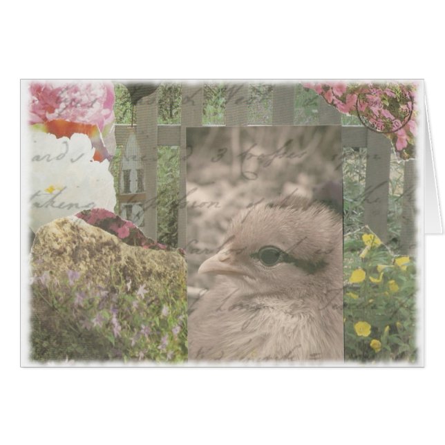 Bicket 1 (Devant horizontal)