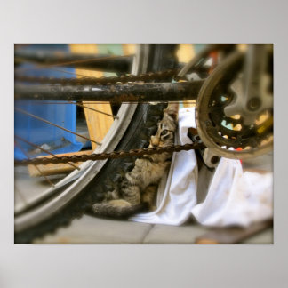 Bicycle Shelter 2 Poster