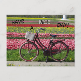 Bicyclette à Tulips Field Avoir une carte postale