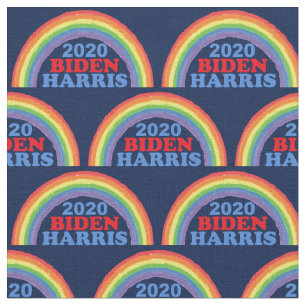 Biden Harris 2020 Rainbow Stoff
