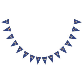 Biden Harris Party Wimpelkette