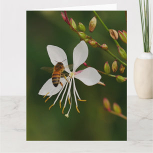 Biegen Sie auf der Blume-Karte ein Karte