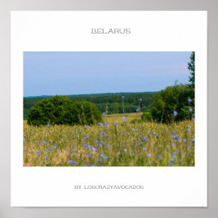 Biélorussie Paysage rural Nature Campagne Poster