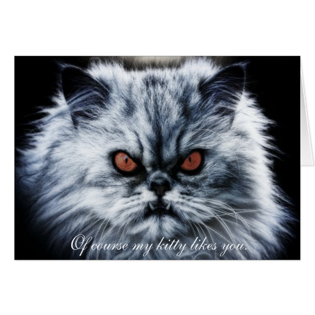 "Bien sûr que mon chou t'aime bien...." (Devant horizontal)