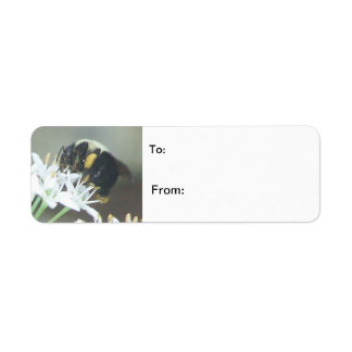 Biene