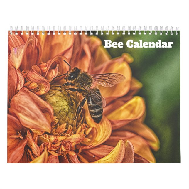 Biene 2025 kalender (Titelbild)