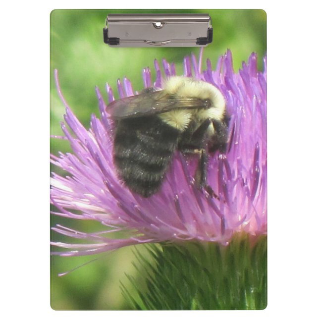Biene an der Thistle-Zwischenablage Klemmbrett (Vorderseite)