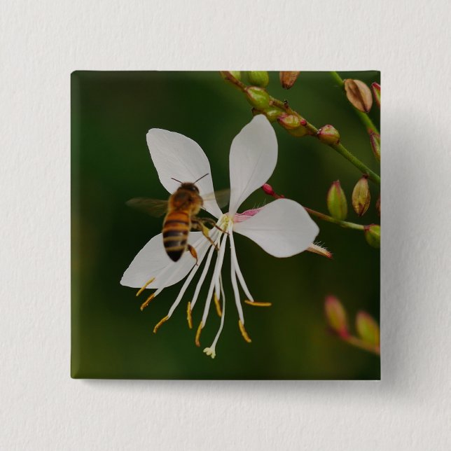 Biene auf Blume Abzeichen Button (Vorderseite)