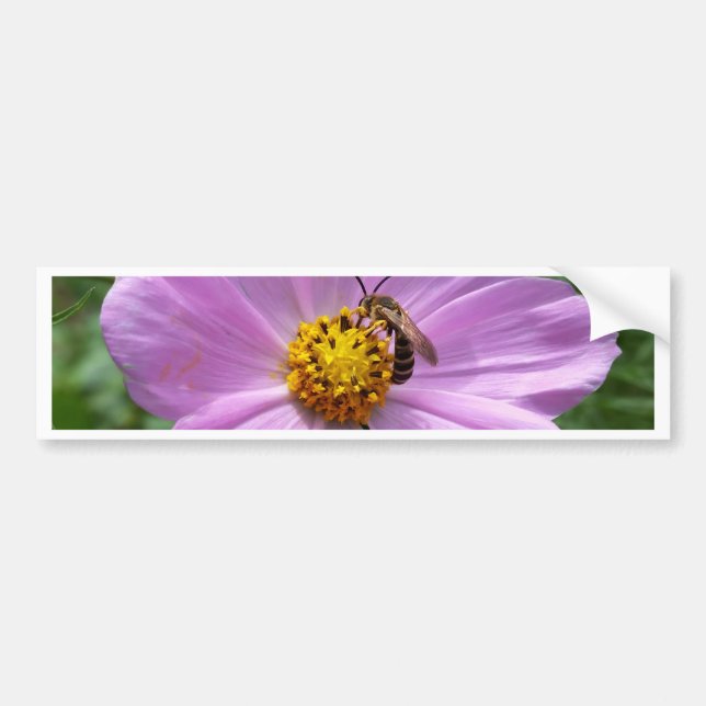 Biene auf Blume Autoaufkleber (Vorne)