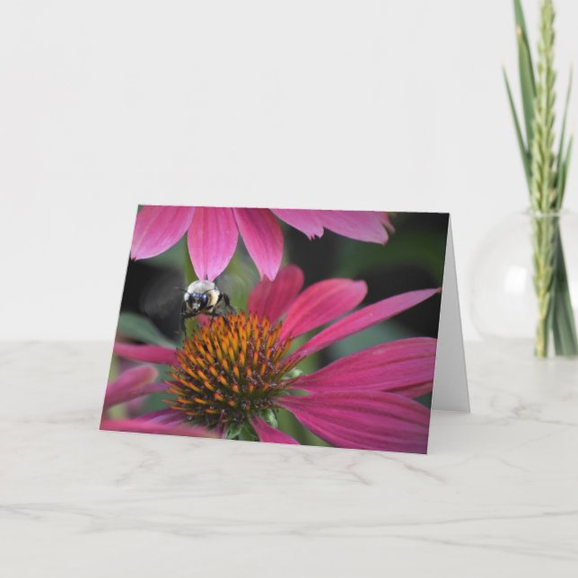 Biene auf Blume, Karte (Vorderseite)