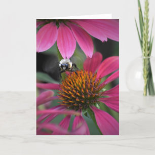 Biene auf Blume, Karte